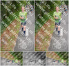Evenement foto: Nijmeegse Vierdaagse 955