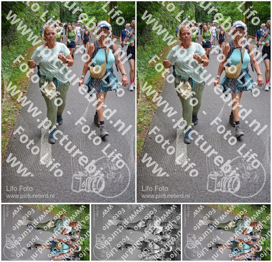 Evenement foto: Nijmeegse Vierdaagse 955