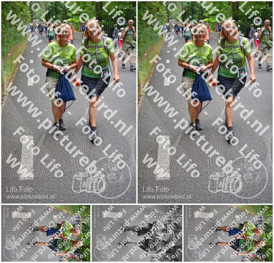Evenement foto: Nijmeegse Vierdaagse 955