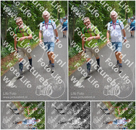 Evenement foto: Nijmeegse Vierdaagse 955