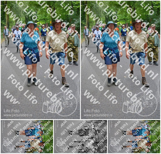 Evenement foto: Nijmeegse Vierdaagse 955