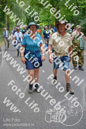 Evenement foto: Nijmeegse Vierdaagse 955