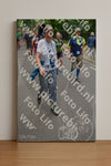 Evenement foto: Nijmeegse Vierdaagse 955