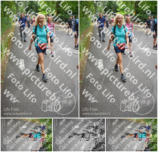 Evenement foto: Nijmeegse Vierdaagse 955
