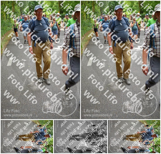 Evenement foto: Nijmeegse Vierdaagse 955
