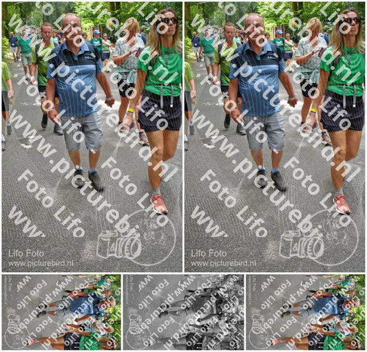 Evenement foto: Nijmeegse Vierdaagse 955