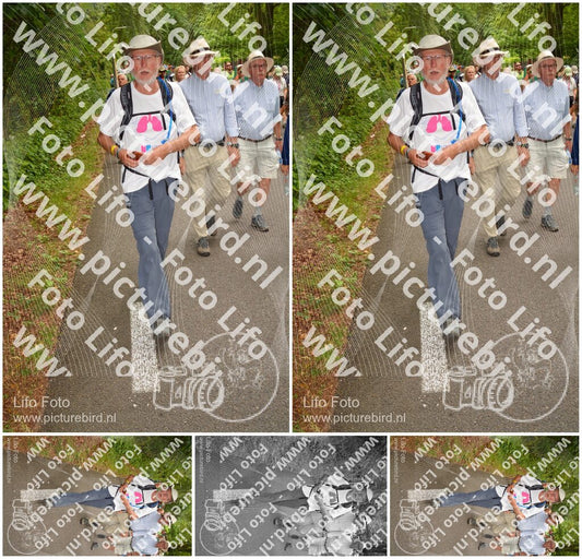 Evenement foto: Nijmeegse Vierdaagse 955