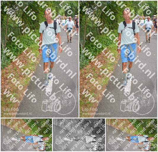 Evenement foto: Nijmeegse Vierdaagse 955