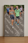 Evenement foto: Nijmeegse Vierdaagse 955