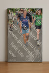 Evenement foto: Nijmeegse Vierdaagse 955