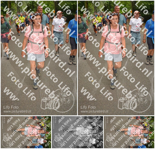Evenement foto: Nijmeegse Vierdaagse 955