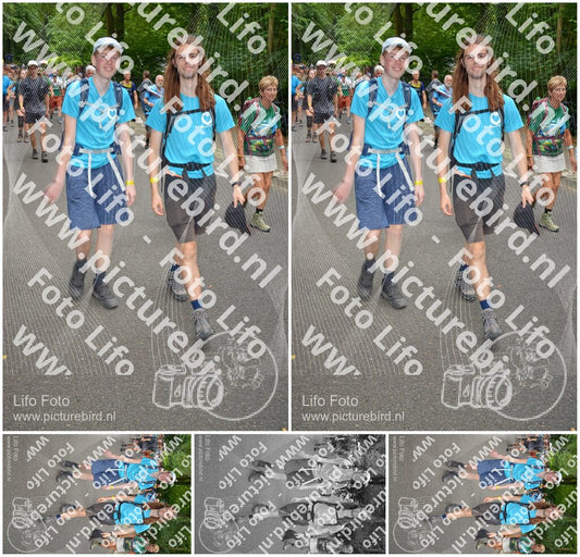 Evenement foto: Nijmeegse Vierdaagse 955