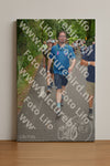 Evenement foto: Nijmeegse Vierdaagse 955