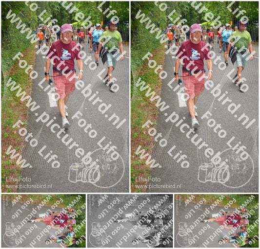 Evenement foto: Nijmeegse Vierdaagse 955