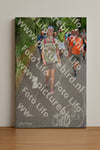 Evenement foto: Nijmeegse Vierdaagse 955