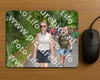 Evenement foto: Nijmeegse Vierdaagse 955