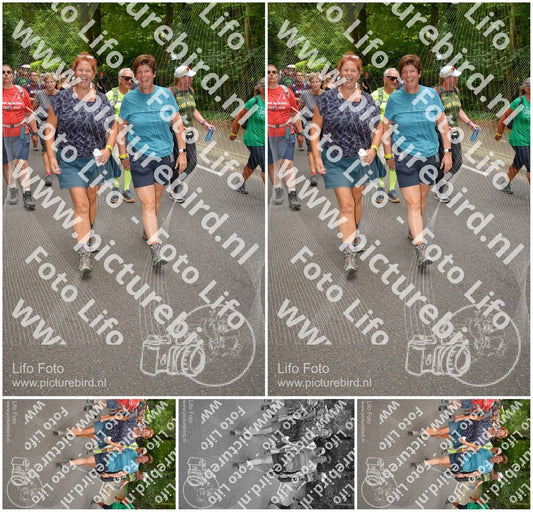 Evenement foto: Nijmeegse Vierdaagse 955