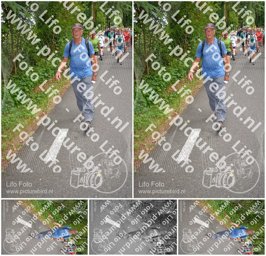 Evenement foto: Nijmeegse Vierdaagse 955