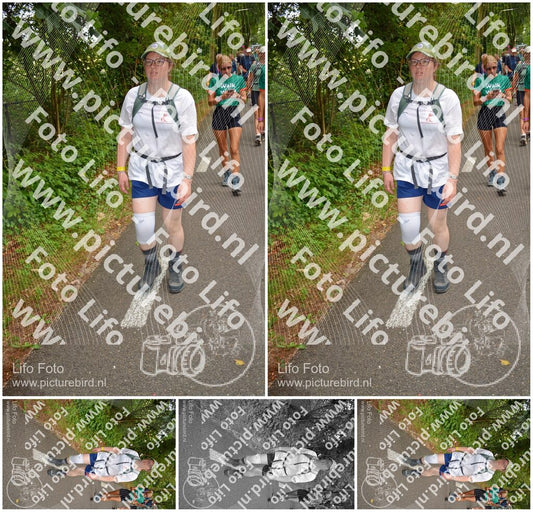 Evenement foto: Nijmeegse Vierdaagse 955