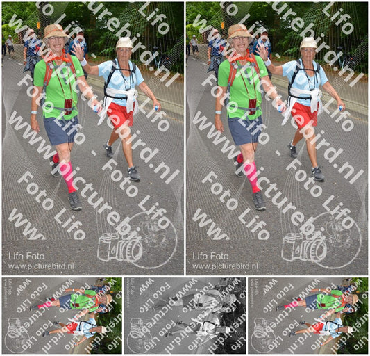 Evenement foto: Nijmeegse Vierdaagse 955