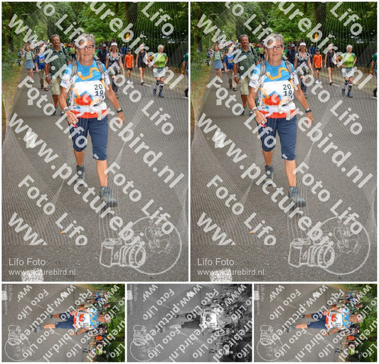 Evenement foto: Nijmeegse Vierdaagse 955