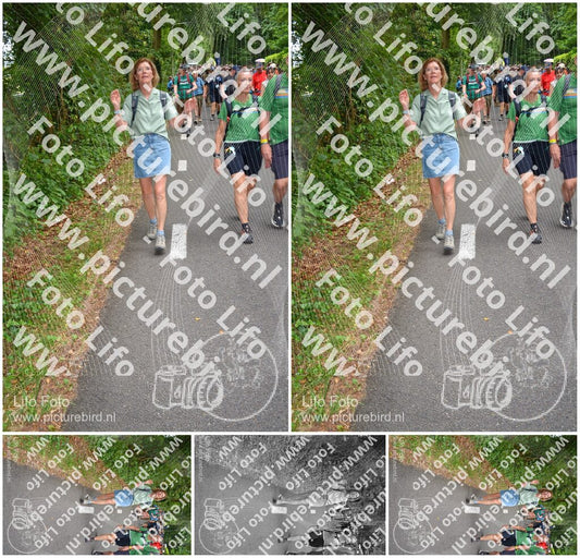 Evenement foto: Nijmeegse Vierdaagse 955
