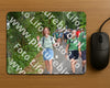 Evenement foto: Nijmeegse Vierdaagse 955