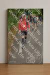 Evenement foto: Nijmeegse Vierdaagse 955