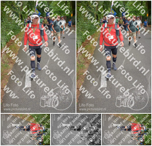 Evenement foto: Nijmeegse Vierdaagse 955