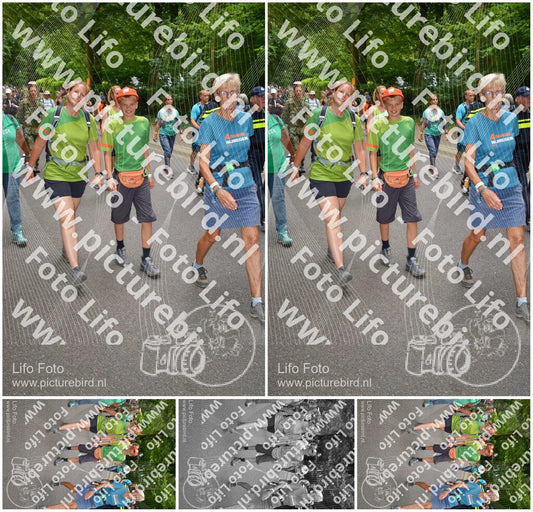 Evenement foto: Nijmeegse Vierdaagse 955