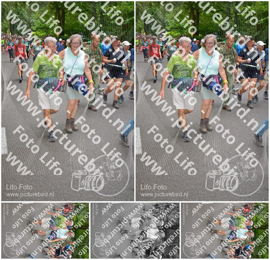 Evenement foto: Nijmeegse Vierdaagse 955