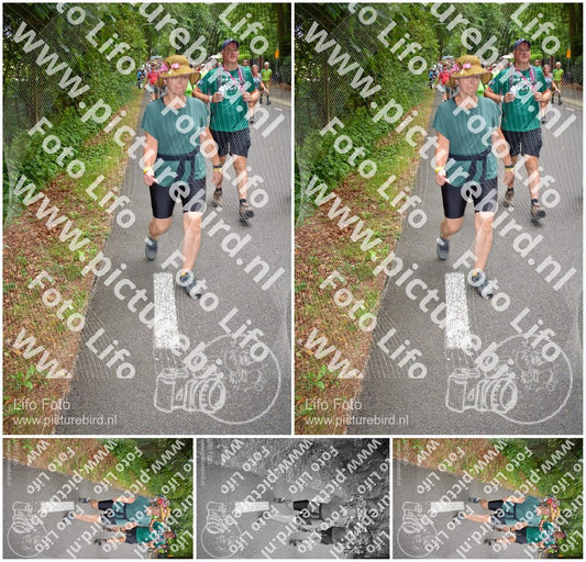Evenement foto: Nijmeegse Vierdaagse 954
