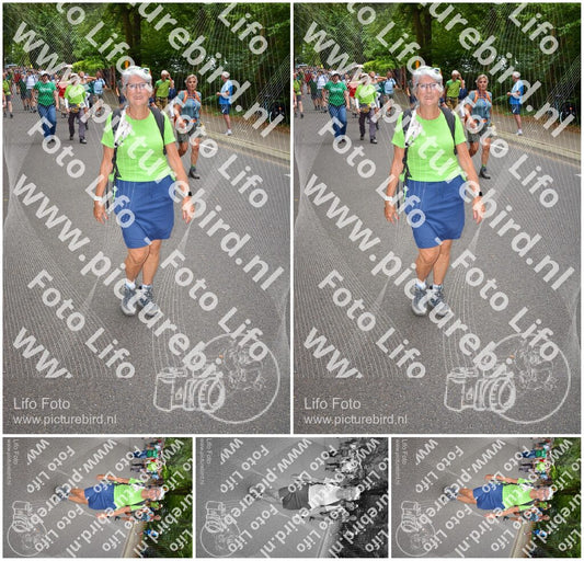 Evenement foto: Nijmeegse Vierdaagse 954