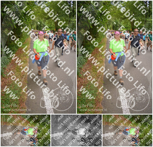 Evenement foto: Nijmeegse Vierdaagse 954
