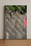 Evenement foto: Nijmeegse Vierdaagse 954