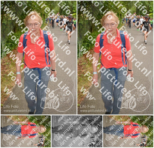 Evenement foto: Nijmeegse Vierdaagse 954