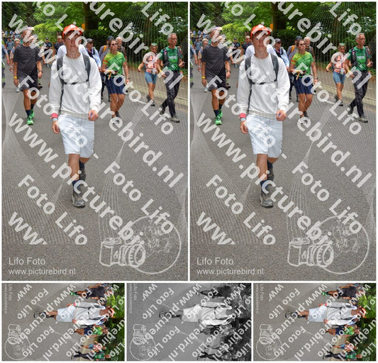 Evenement foto: Nijmeegse Vierdaagse 954