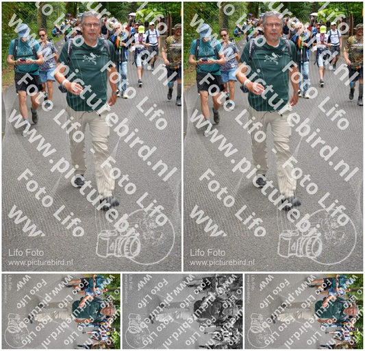 Evenement foto: Nijmeegse Vierdaagse 954