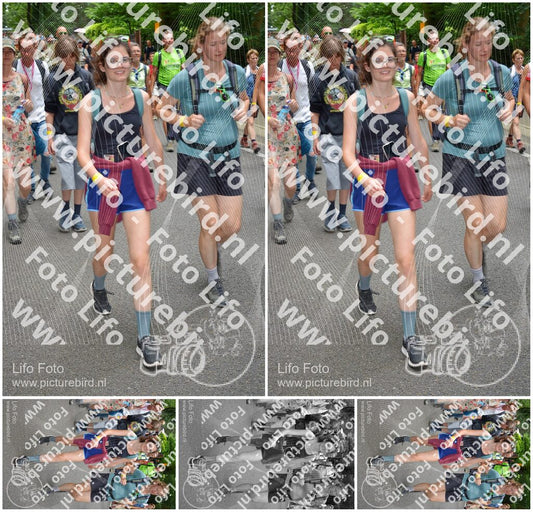Evenement foto: Nijmeegse Vierdaagse 954