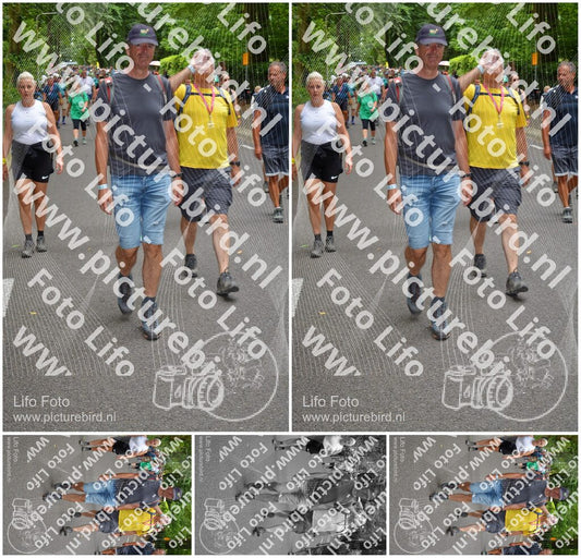 Evenement foto: Nijmeegse Vierdaagse 954
