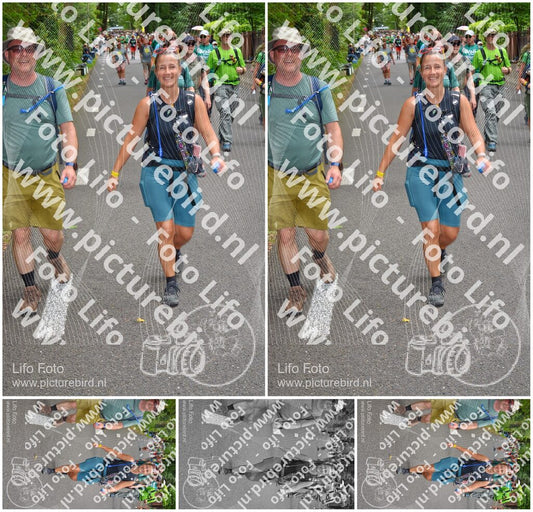 Evenement foto: Nijmeegse Vierdaagse 954