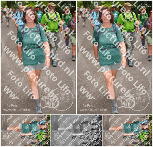 Evenement foto: Nijmeegse Vierdaagse 954