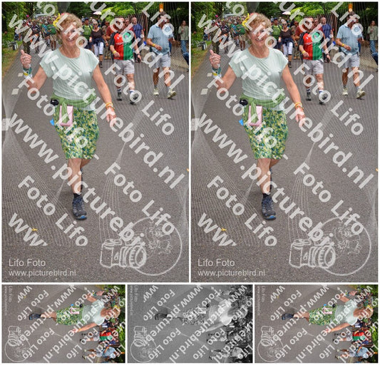 Evenement foto: Nijmeegse Vierdaagse 954