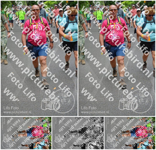 Evenement foto: Nijmeegse Vierdaagse 954