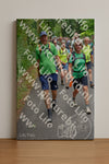 Evenement foto: Nijmeegse Vierdaagse 954