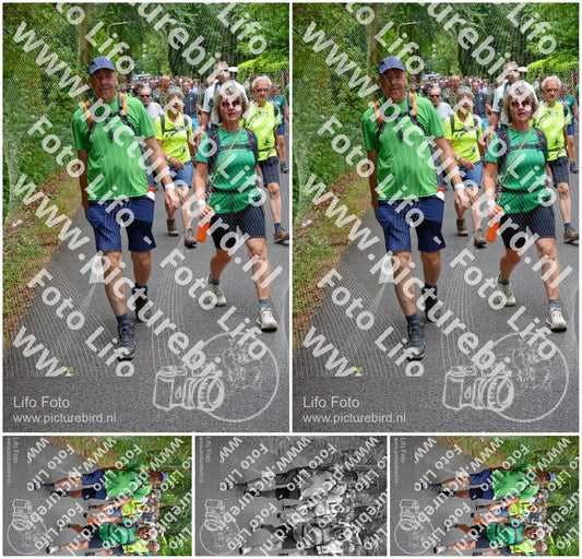 Evenement foto: Nijmeegse Vierdaagse 954