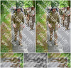 Evenement foto: Nijmeegse Vierdaagse 954