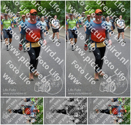 Evenement foto: Nijmeegse Vierdaagse 954