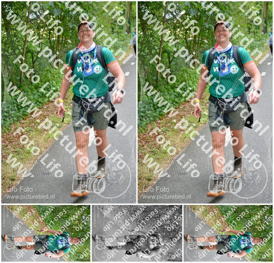 Evenement foto: Nijmeegse Vierdaagse 954