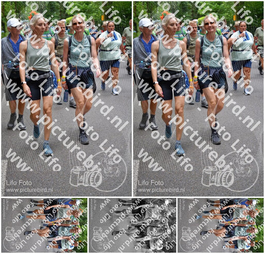 Evenement foto: Nijmeegse Vierdaagse 954